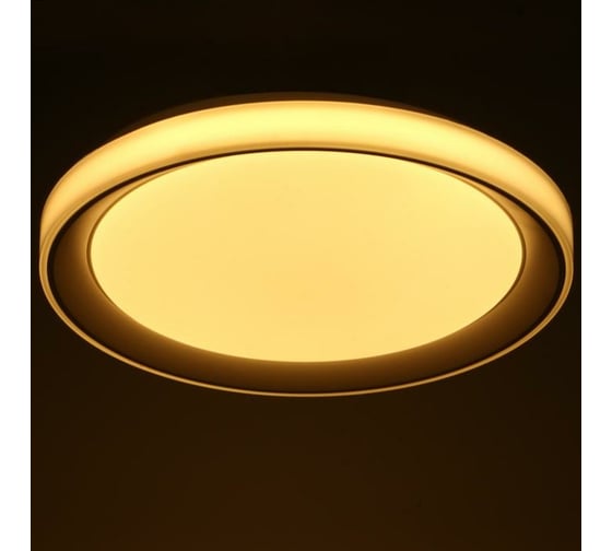 Светильник BayerLux с ПДУ 1559/1WT LED 96Вт 2700-6000К белый, диаметр 50 см 5512092