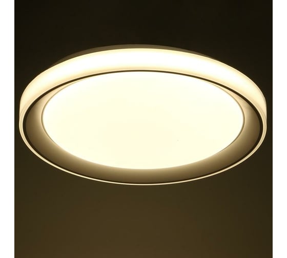 Светильник BayerLux с ПДУ 1559/1WT LED 96Вт 2700-6000К белый, диаметр 50 см 5512092