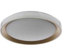 Светильник BayerLux с ПДУ 1559/1CF LED 96Вт 2700-6000К золото, диаметр 50 см 5512093