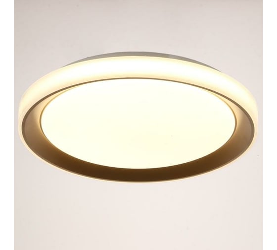 Светильник BayerLux с ПДУ 1559/1CF LED 96Вт 2700-6000К золото, диаметр 50 см 5512093