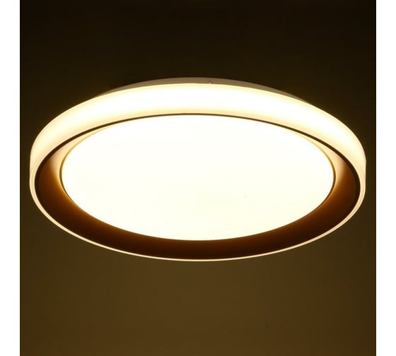 Светильник BayerLux с ПДУ 1559/1CF LED 96Вт 2700-6000К золото, диаметр 50 см 5512093
