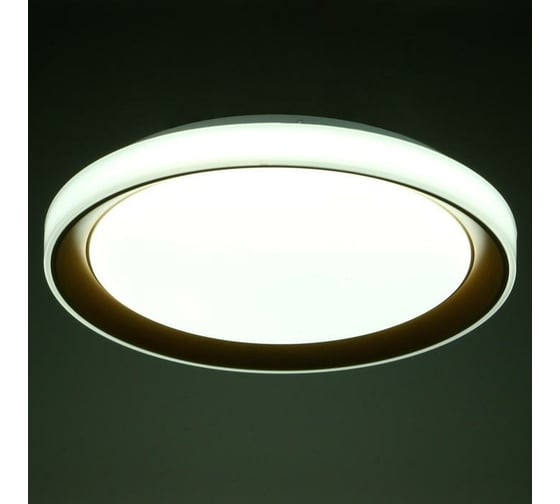 Светильник BayerLux с ПДУ 1559/1CF LED 96Вт 2700-6000К золото, диаметр 50 см 5512093