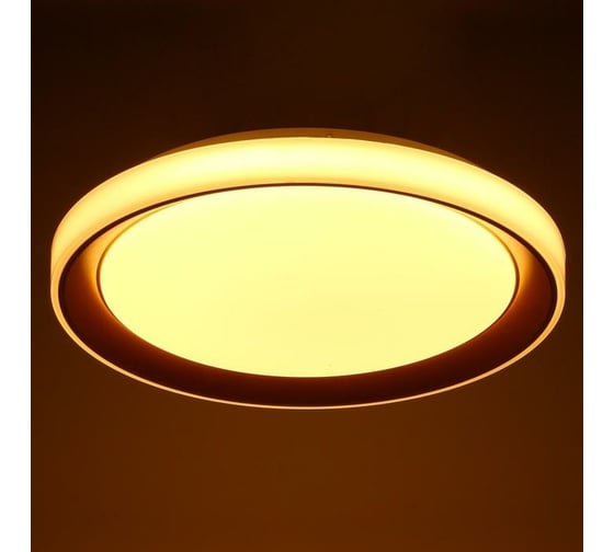 Светильник BayerLux с ПДУ 1559/1CF LED 96Вт 2700-6000К золото, диаметр 50 см 5512093