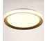 Светильник BayerLux с ПДУ 1559/1CF LED 96Вт 2700-6000К золото, диаметр 50 см 5512093 2