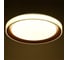 Светильник BayerLux с ПДУ 1559/1CF LED 96Вт 2700-6000К золото, диаметр 50 см 5512093 3