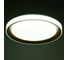 Светильник BayerLux с ПДУ 1559/1CF LED 96Вт 2700-6000К золото, диаметр 50 см 5512093 4