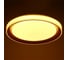 Светильник BayerLux с ПДУ 1559/1CF LED 96Вт 2700-6000К золото, диаметр 50 см 5512093 5