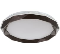 Светильник BayerLux с ПДУ 1560/1CF LED 96Вт 2700-6000К кофе, диаметр 50 см 5512096