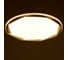 Светильник BayerLux с пультом ДУ 61153/1 LED 27+27Вт белый 50x50х7 см 5073762 5