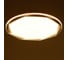 Светильник BayerLux с пультом ДУ 61153/1 LED 27+27Вт белый 50x50х7 см 5073762 6