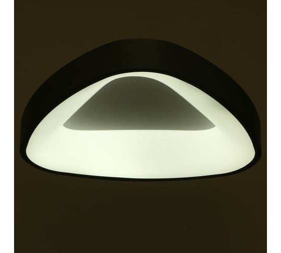 Светильник BayerLux с ПДУ 1561/1 LED 80Вт 2700-6000К серый, диаметр 50 см 5512097