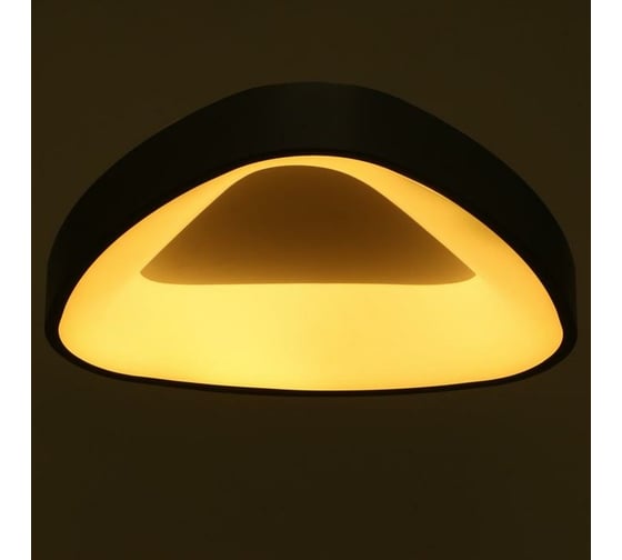 Светильник BayerLux с ПДУ 1561/1 LED 80Вт 2700-6000К серый, диаметр 50 см 5512097