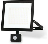 Прожектор светодиодный с датчиком движения Ambrella Light STREET ST8118