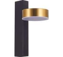 Настенный светильник ST LUCE PANCES SL6000.301.01 18305251