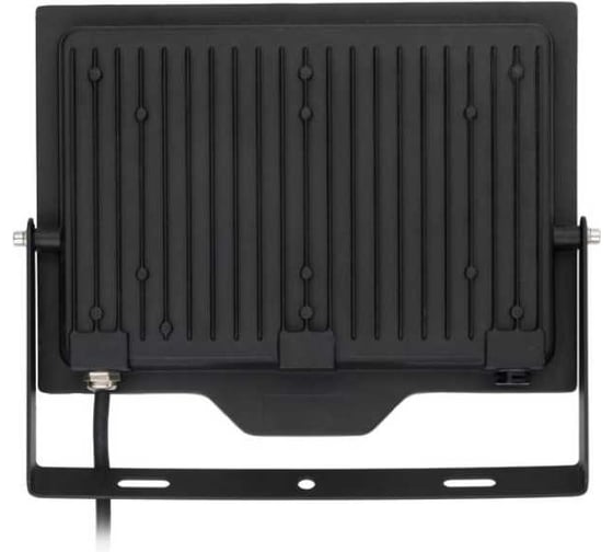 Прожектор светодиодный Русский Свет СДО FL 10 C 100W VW 865 BK CL LED 277x220x30мм 100Вт 6500К IP65 черный 15081023056