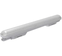 Светильник пылевлагозащищенный Русский Свет ДСП WP 02 C 18W OP 865 L600 LED 600x70x72мм 18Вт 6500К IP65 белый 15070223092