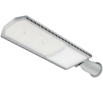 Светильник уличный Русский Свет RD 10 P 200W SHB 850 GR LED 719x244мм 200Вт 5000К IP66 консольный, серый 17121023068