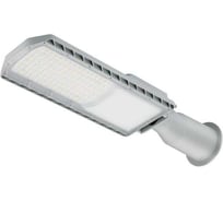 Светильник уличный Русский Свет RD 10 P 50W SHB 850 GR LED 477x138мм 50Вт 5000К IP66 консольный, серый 17121023065