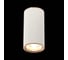 Потолочный светильник ST LUCE CHOMUS ST111.527.01 2