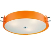Потолочный светильник ST LUCE HEGIA SL484.092.06