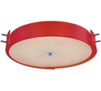 Потолочный светильник ST LUCE HEGIA SL484.602.04