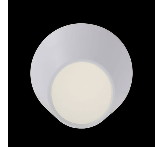 Потолочный светильник ST LUCE ODIERNO SL956.552.01D