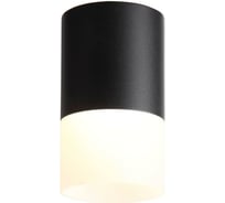Потолочный светильник ST LUCE OTTU ST100.402.10