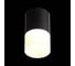 Потолочный светильник ST LUCE OTTU ST100.402.10 2