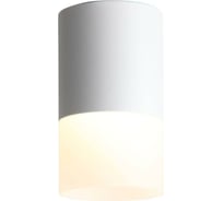 Потолочный светильник ST LUCE OTTU ST100.502.10