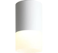Потолочный светильник ST LUCE OTTU ST100.502.05