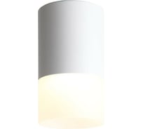 Потолочный светильник ST LUCE OTTU ST100.542.05
