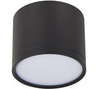 Потолочный светильник ST LUCE RENE ST113.442.09