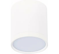 Потолочный светильник ST LUCE RENE ST113.542.05