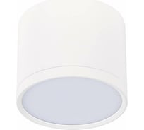 Потолочный светильник ST LUCE RENE ST113.542.09