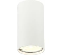 Потолочный светильник ST LUCE SIMPLUS ST110.507.01