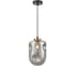 Подвесной светильник Vele Luce Alieno VL5352P31 1