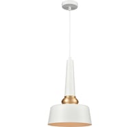Подвесной светильник Vele Luce Appassionato VL2141P01