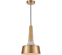 Подвесной светильник Vele Luce Appassionato VL2144P01