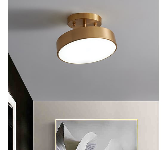 Накладной светодиодный светильник IMPERIUMLOFT TENN C D200 293896-26