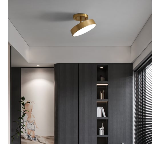 Накладной светодиодный светильник IMPERIUMLOFT TENN C D200 293896-26