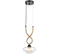 Подвесной светильник Vele Luce Janice VL5444P01