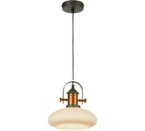 Подвесной светильник ST LUCE SOTTO SLD982.303.01