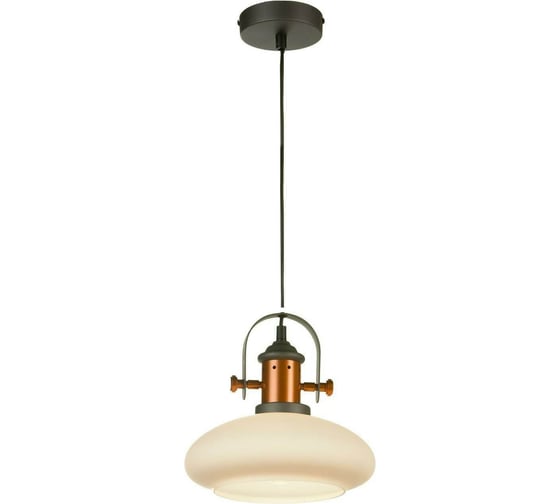 Подвесной светильник ST LUCE SOTTO SLD982.303.01 1