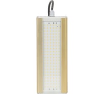 Консольный светильник ЛЕНСВЕТ Модуль GOLD, консоль K-1, 48 Вт LSS-ST-K-018-48-7920-5000-120-67