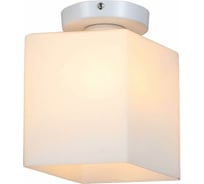 Настенно-потолочный светильник ST LUCE ASPETTO SL548.501.01