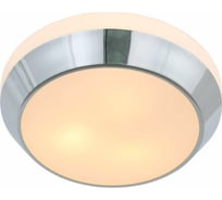 Настенно-потолочный светильник ST LUCE BAGNO SL469.502.02