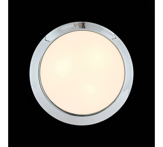 Настенно-потолочный светильник ST LUCE BAGNO SL469.502.02