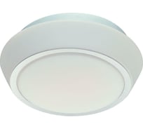 Настенно-потолочный светильник ST LUCE BAGNO SL496.502.02
