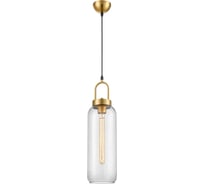 Подвесной светильник Vele Luce Cloe VL5414P21