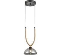Подвесной светильник Vele Luce Cloe VL5434P01
